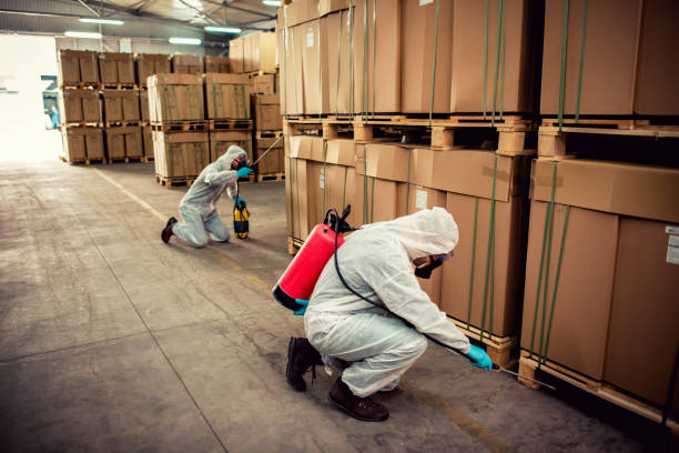Best Pest Control Near Me in Oak Hills Place, LA