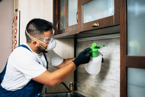 Best Residential Pest Control  in Oak Hills Pce, LA