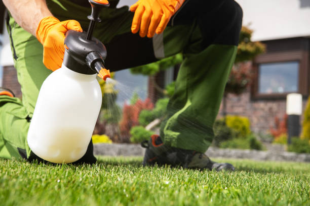 Best Affordable Pest Control Services  in Oak Hills Pce, LA