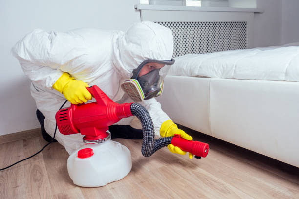 Best Best Pest Control Companies  in Oak Hills Pce, LA