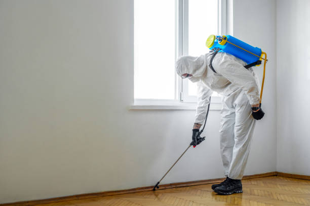 Best Pest Prevention Services  in Oak Hills Pce, LA