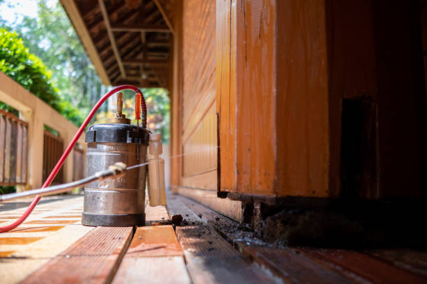 Best Pest Removal Services  in Oak Hills Pce, LA