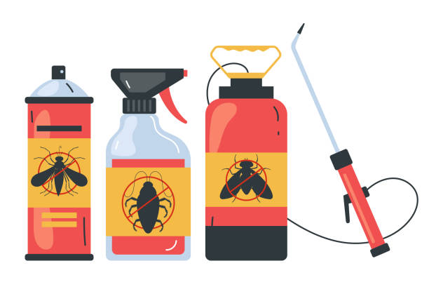 Best Termite Control Services  in Oak Hills Pce, LA