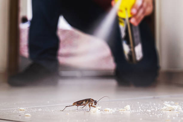 Best Rodent Control Near Me  in Oak Hills Pce, LA