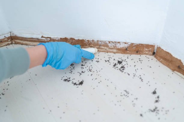 Best Pest Removal Services  in Oak Hills Pce, LA
